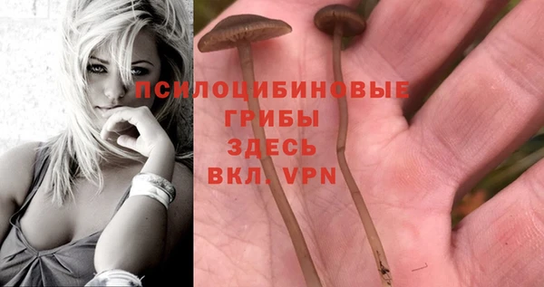 прущие крисы Михайловка