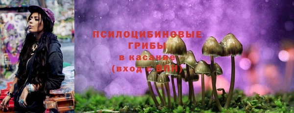 прущие крисы Михайловка